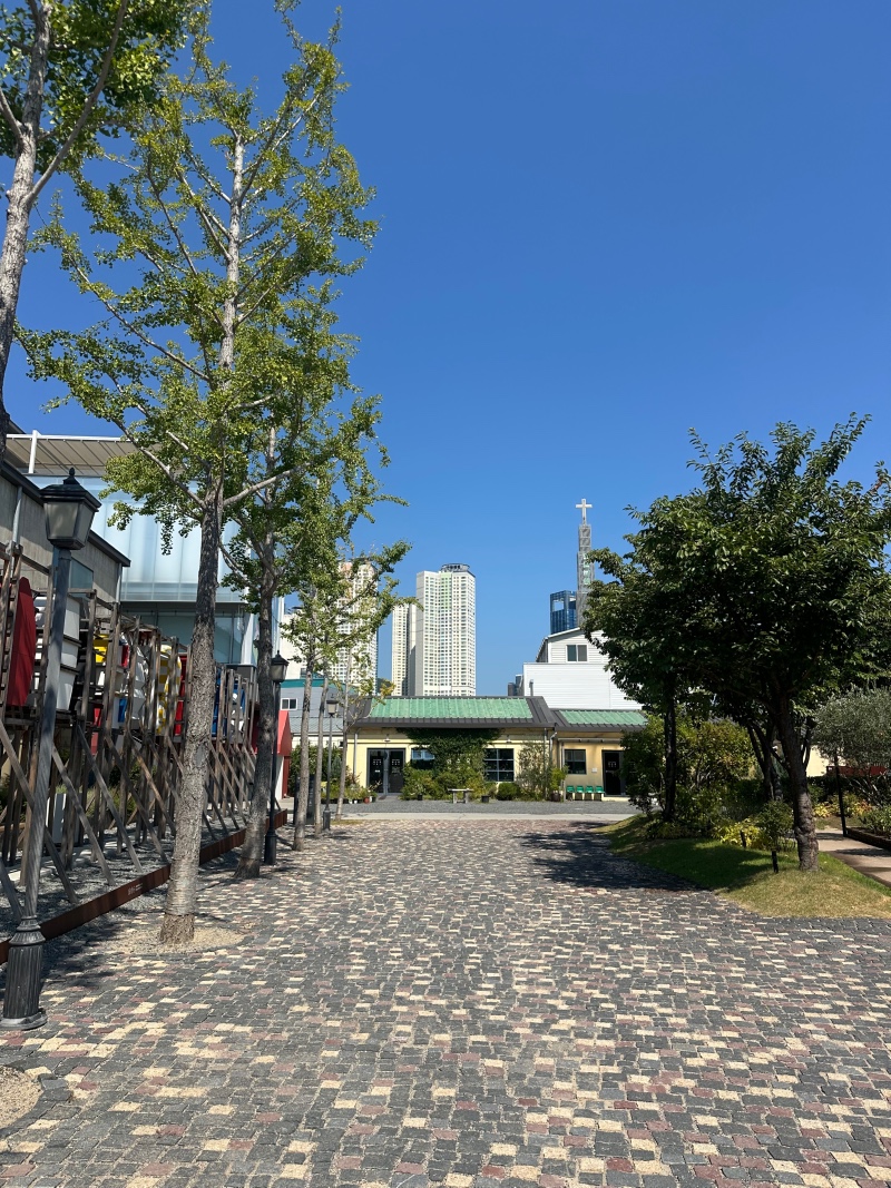 IMG_6264.jpeg