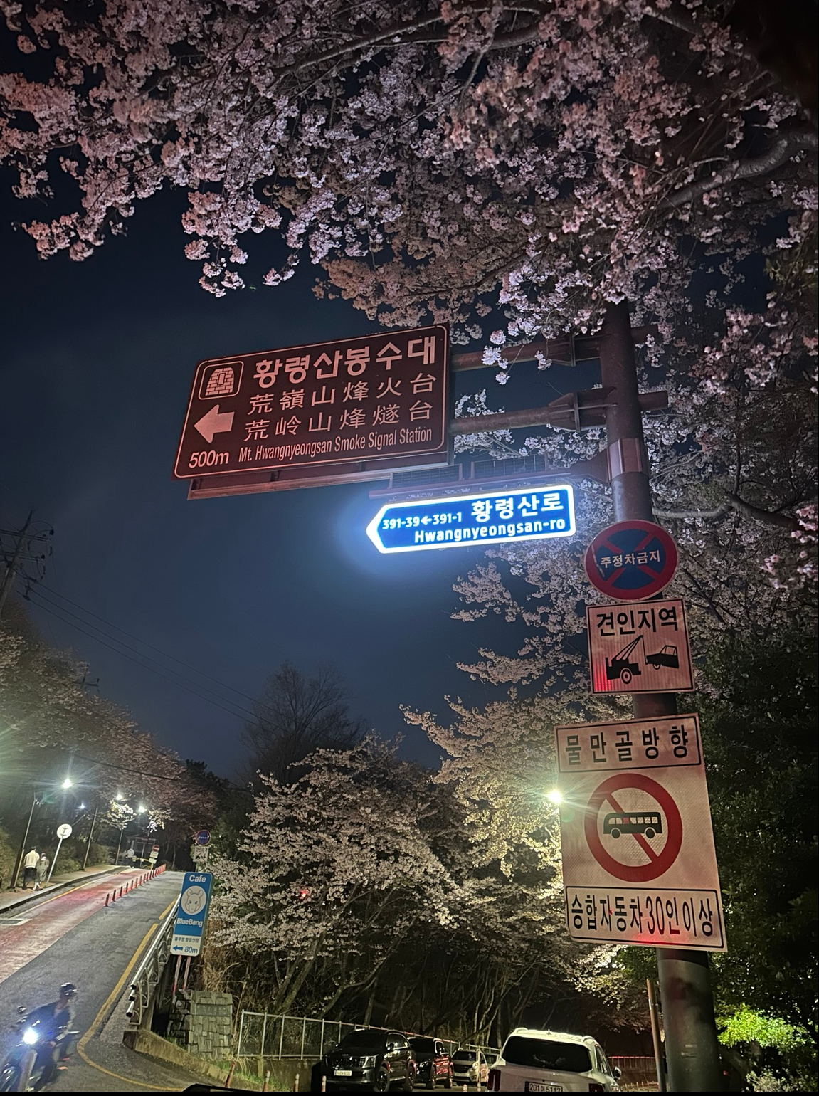 One of the Best Nigh…